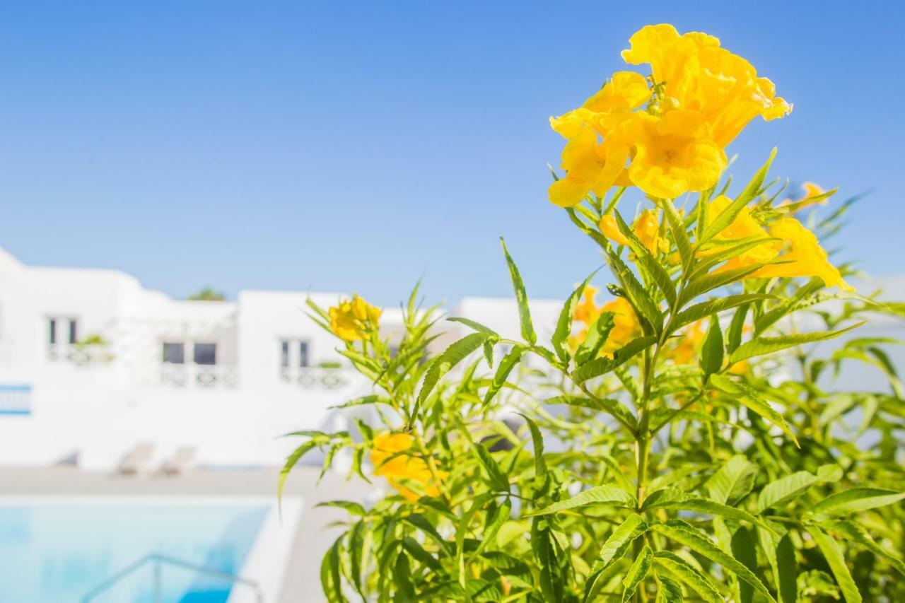 Flower Beach Suite 6 Playa Honda  Exterior foto
